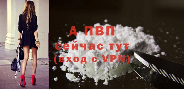 крисы Баксан