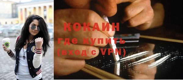 крисы Баксан