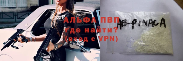 крисы Баксан