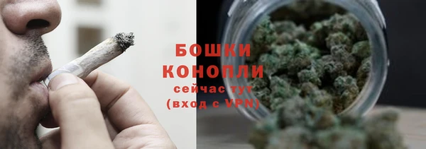 крисы Баксан