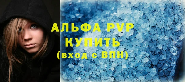 крисы Баксан