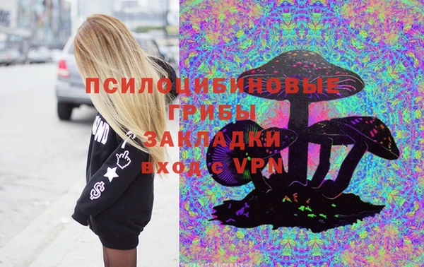 крисы Баксан