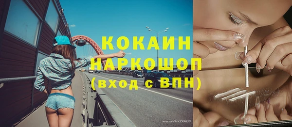 крисы Баксан